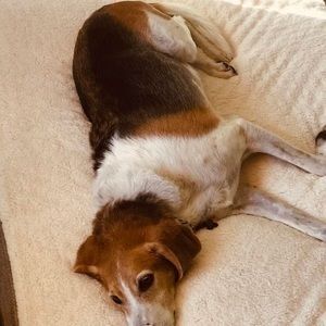 Meet your Posher, Elaine